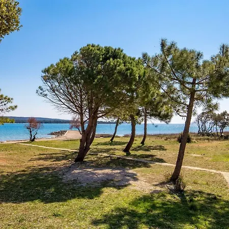 In Pinewood Near The Sea Apartment Nerezine