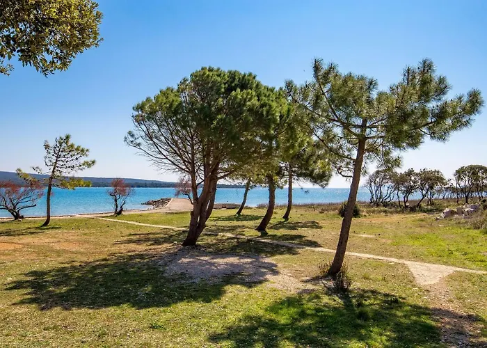 In Pinewood Near The Sea Appartement Nerezine