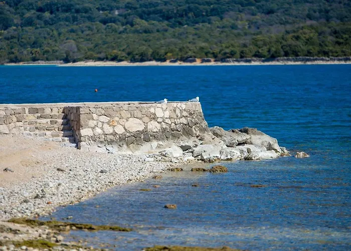In Pinewood Near The Sea Nerezine