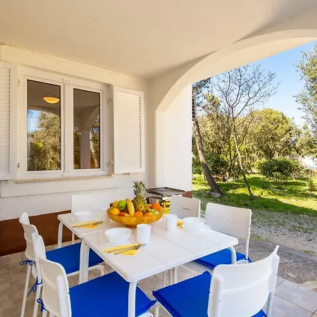 In Pinewood Near The Sea *