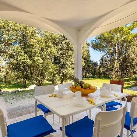 In Pinewood Near The Sea Appartamento Nerezine