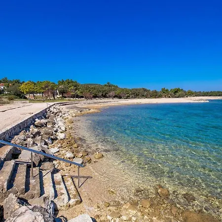 In Pinewood Near The Sea