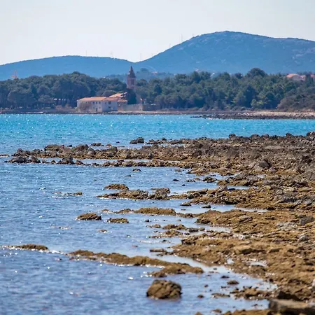 In Pinewood Near The Sea * Nerezine