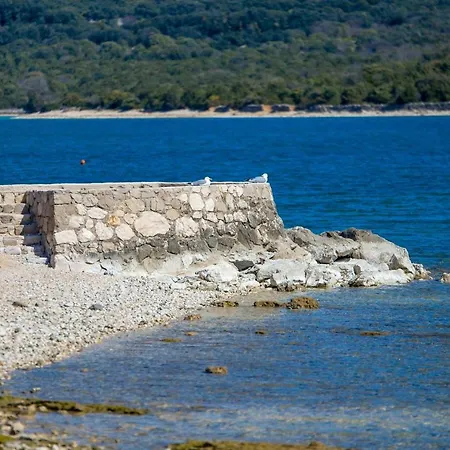 In Pinewood Near The Sea Nerezine