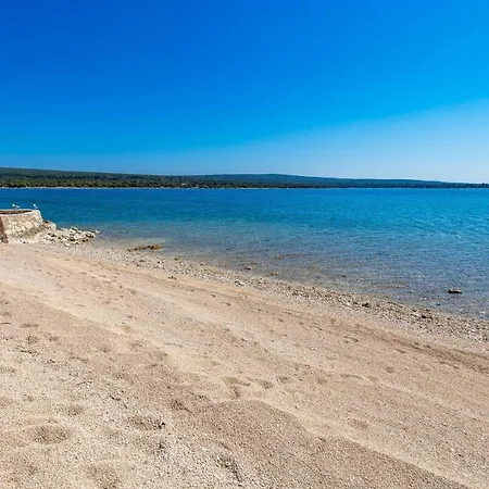 In Pinewood Near The Sea *